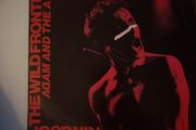 vinyl kings of the wild frontier 7"