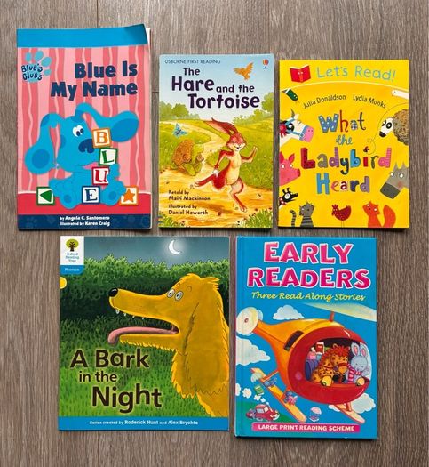 Bundle of 5 Early Learning & Phonics Children's Storybooks