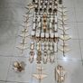 Wooden Toys Image 7