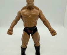 wwe Jakks The Rock action figure