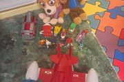 Paw patrol bundle