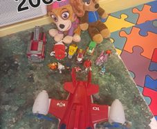Paw patrol bundle