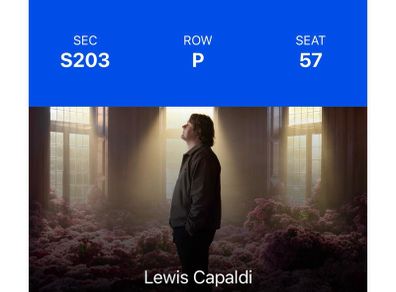 Lewis Capaldi Thomond Park