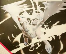 Black Bolt & White Flare Holo and Rev Holos
