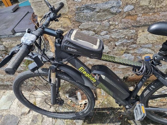 Eliglide Electric Bike