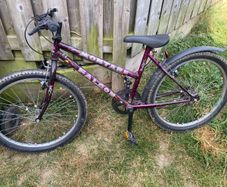 Mountain bike