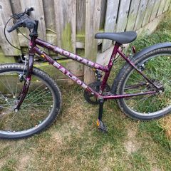 Mountain bike