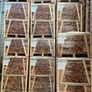 Premium Kiln-Dried Beech Firewood - Standard Crate Image 4