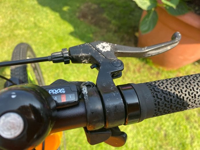 Frog Bike
