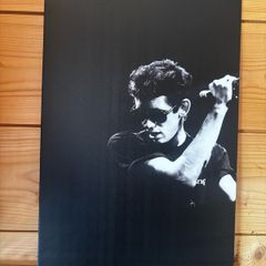 Shane MacGowan Tin Metal Sign
