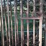 gates Image 2