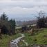 sandra_3321