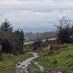 sandra_3321