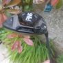 Ping Driver Image 6