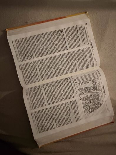 Bible