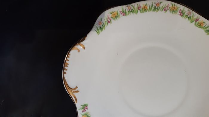 Regina/Royal Tara Tea Set 21 piece teaset