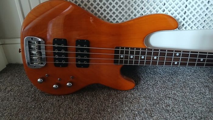 G&L L2000 Tribute