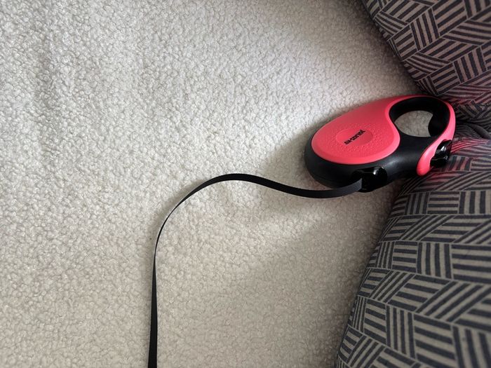 Retractable Dog lead.