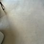 carpet Image 2