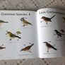 British Birds. Identification Guides.  Book Image 10