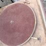 Antique Kingfisher Horn Gramophone Image 4