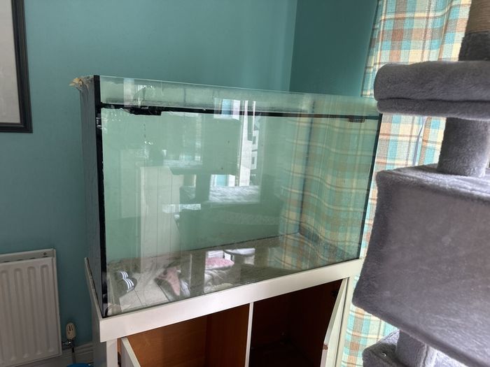 free large fish tank