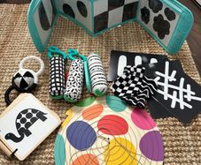 Lovevery The Looker Play kit