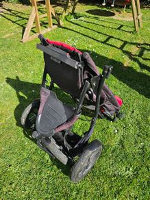 Phil and Ted Double Sport Buggy