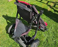 Phil and Ted Double Sport Buggy