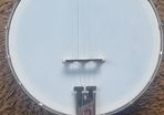 Deering goodtime Banjo