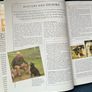 The Illustrated Encyclopaedia of Dog Breeds by Joan Palmer Image 10