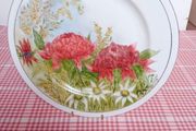 Australian Native Flower Plate