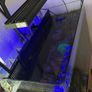 AquaOne 100 Image 2