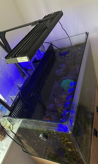 AquaOne 100