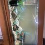 Fish tank Image 2