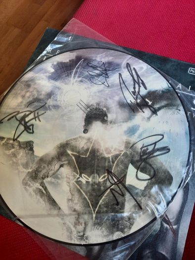 IN FLAMES: Reroute To Remain LP Picture Disc 2002 (Fully Autographed)