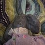Porcelain Poodle doll Image 5