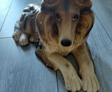 Fireside ornamental Collie