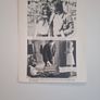 1975 Alfie Darling Press Kit Image 6