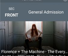 Limerick Florence and the Machine front pitch standing