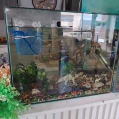 Fish tank full set up