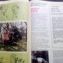 Replica 1970s RTE Guide (postage included) Image 2