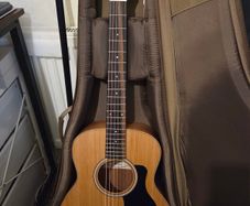 Taylor GS Mini