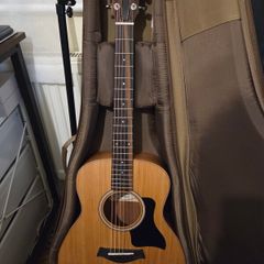 Taylor GS Mini