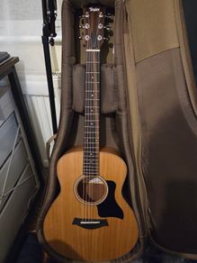 Taylor GS mini