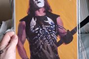 Sting Autograph - Certified WWE WCW TNA AEW