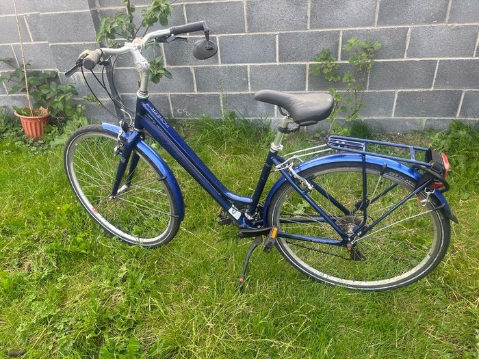 Raleigh Pioneer