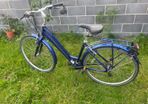 Raleigh Pioneer