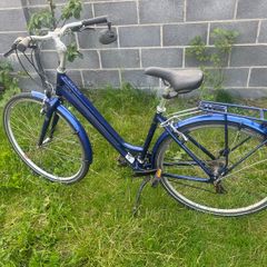 Raleigh Pioneer
