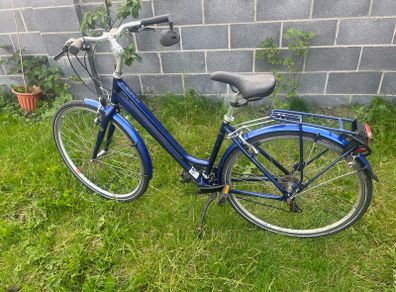 Raleigh Pioneer